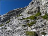 Erschbaum - Große Kinigat / Monte Cavallino